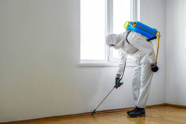 Best Emergency Pest Control  in South Riding, VA